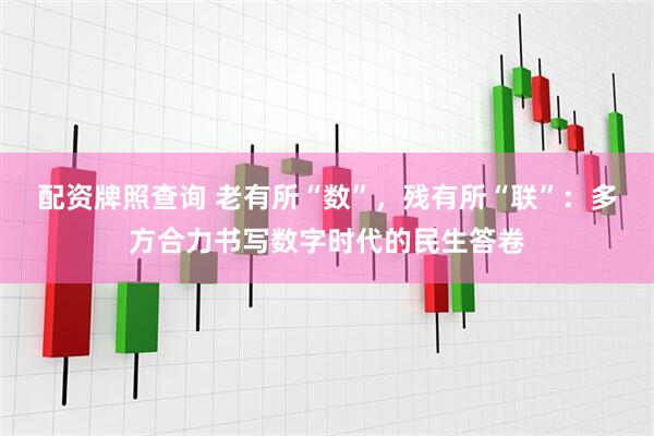 配资牌照查询 老有所“数”，残有所“联”：多方合力书写数字时代的民生答卷