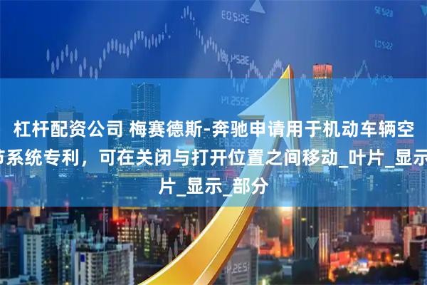 杠杆配资公司 梅赛德斯-奔驰申请用于机动车辆空气调节系统专利，可在关闭与打开位置之间移动_叶片_显示_部分